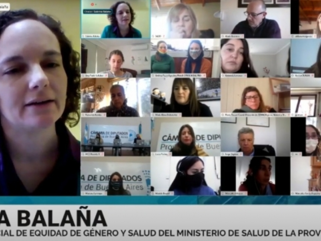 Comenzó el foro participativo “Camino al parto respetado en la Provincia de Buenos Aires”.